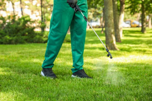 Santa Fe Lawn Treatment
