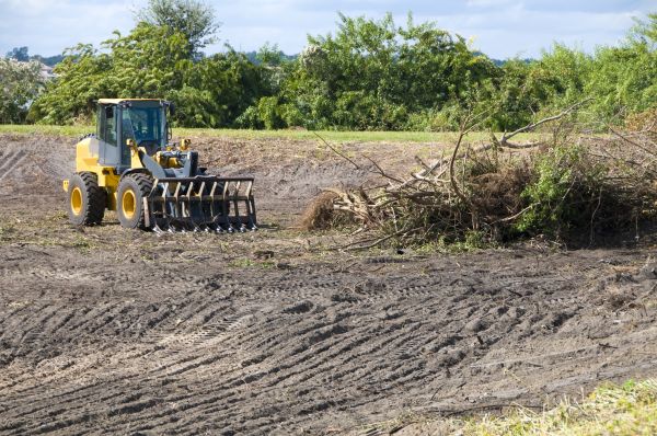 Santa Fe Land Clearing